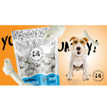  guadalajara, campa&ntilde;as publicitarias, soluciones creativas