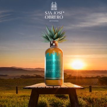  medios digitales, branding, experiencia de usuario