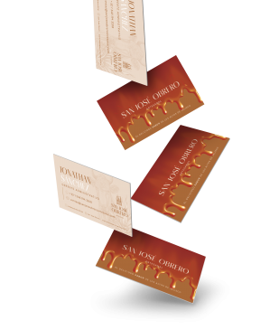  guadalajara, experiencia de usuario,san jos&eacute; obrero artesanal