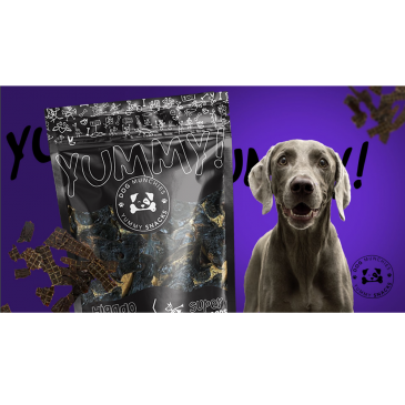  soluciones creativas, consultor&iacute;a digital, branding