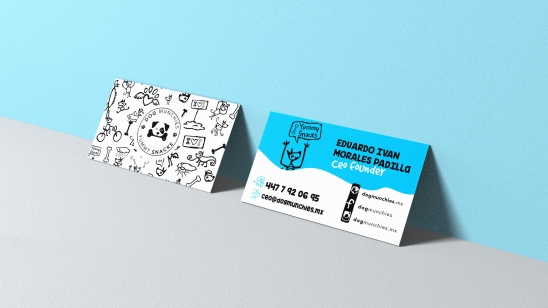  publicidad interactiva,zapopan, dise&ntilde;o gr&aacute;fico